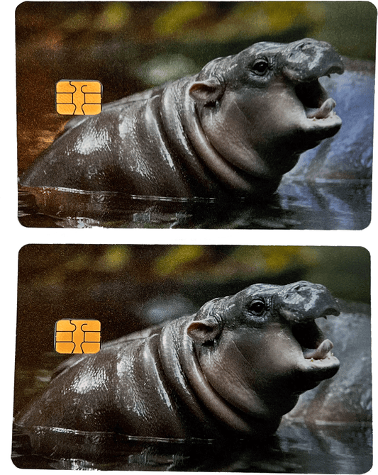 Cute Hippo Moo Deng Card Skin (2pcs)